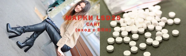 PSILOCYBIN Новодвинск