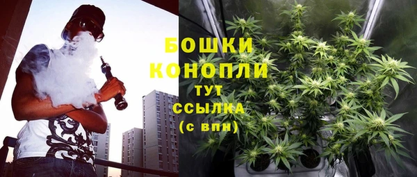 PSILOCYBIN Новодвинск