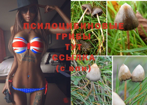 гидра Нязепетровск
