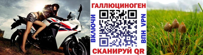 магазин  наркотиков  Нелидово  Псилоцибиновые грибы Psilocybine cubensis 